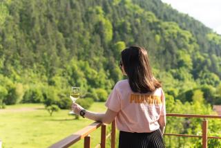 Kleptuzaparts - Velingrad - 6