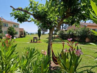 Pinea Mare - Poggio-Mezzana - 2