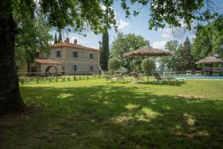 Belvedere - Ambra - 7