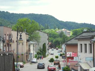 Apartament Magnolia - Muszyna - 3