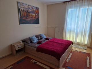 Casa Cristina - Pécs - 7