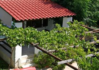 Caviri - Galissas - 2