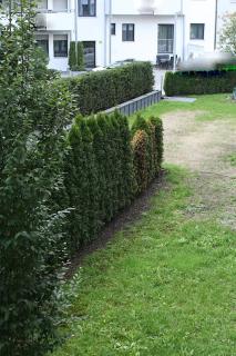 American Ease Apartments - Hahnbach, Vilseck, Weiden - Hahnbach - 1