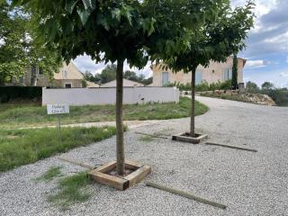 VENTOUX - Apt - 8