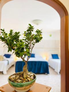 Casa della Frutta - Anacapri - 9