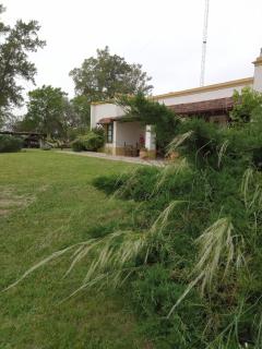 Hospedaje El Rincon - San Antonio de Areco - 9