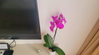 Studio apartment Lora Lux - Bulevar - Sarajevo - 7