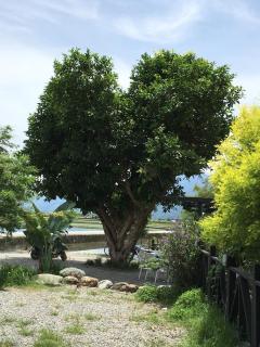 好和院景 How Has - 3