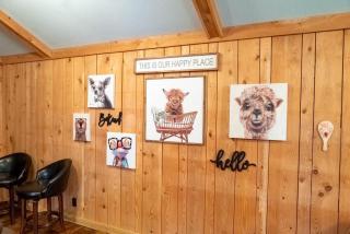 The Victorian Inn- New Listing! - Oak Hill - 5