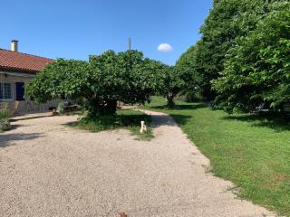gîte La Longère bleue - Caylus - 8
