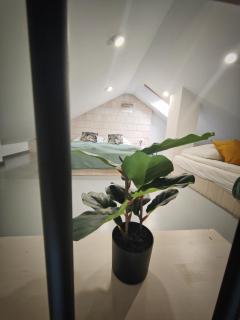 M&K Apartament Magiczny Las, Gdańsk - Wyspa Sobieszewska - Gdańsk - 2