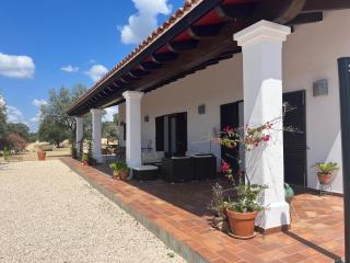 El Cañuelo de Casa Román - 3
