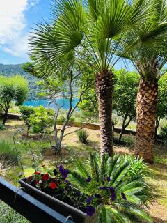 Apartment Monte Rosa - Mali Lošinj - 9