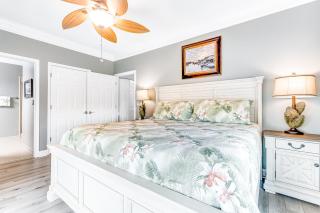 The One Eyed Chihuahua - 30 Day Rental - 1