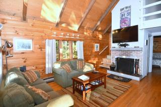 The Outlook - Pet Friendly, Grill, Wifi, View, Fire Pit, Deck, Family Friendly, Foosball, Game Room, King Bed, Fireplace - Morton Grove - 5