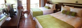 Hotel y Cabañas Las Mellizas - Caja Los Andes - Los Ángeles - 4