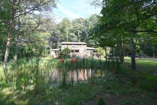 Sleepy View Retreat - Hot Tub, Trail, Hiking, Pet Friendly, Grill, Wifi, Fire Pit, Screen Porch, Family Friendly, Games, King Bed, Secluded, Fireplace, Pond - Berkeley Springs - 9