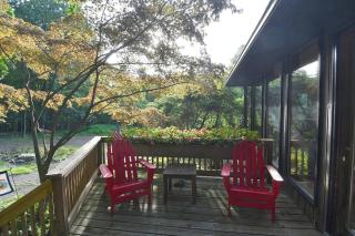 Sleepy View Retreat - Hot Tub, Trail, Hiking, Pet Friendly, Grill, Wifi, Fire Pit, Screen Porch, Family Friendly, Games, King Bed, Secluded, Fireplace, Pond - Berkeley Springs - 7