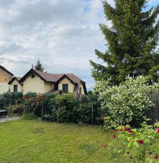 Drumul Poienii Apartment - Brasov - 5