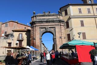 SUITE 38 - Campagnano di Roma - 9