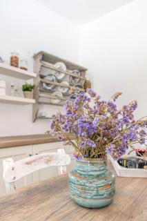 Panousa House - Agios Romanos - 6