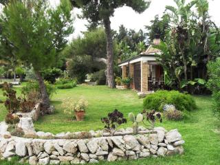 Asparano - Ognina - 7