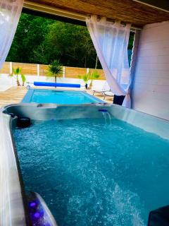 Maison à biscarrosse avec piscine et jacuzzi - Biscarrosse - 9
