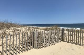 Hidden Harbour - Ocean City - 7