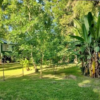 Isla Pupe - Tigre - 3