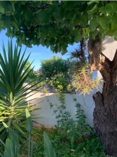 Casa na Colina : The Cottage and The Long House - 4