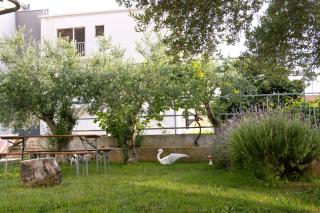 Pepi Apartments 1 - Zadar - 1