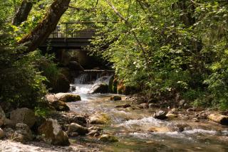 Casa cu Amintiri - Authentic Cozy Cottage - Bran - 7