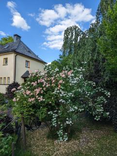 HEIDEWAY KOMPLETTE Wohnung FREI Parken TOP Anbindung A46 - 1