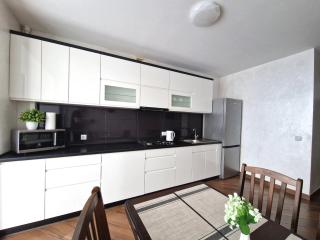 Apartment on Belvedere - Ivano-Frankivsk - 7