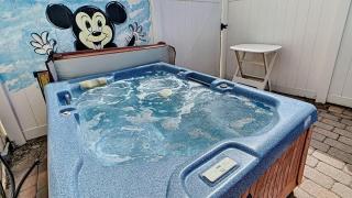 Mickey Funhouse, Pool, Fenced , Pets, Games - Orlando - 3