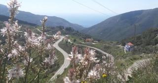 VILLA APHRODITE SOUGIA apt1 - Kamária - 0