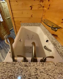 Nature Lovers' Dream - Diamond Bear Home - Tellico Plains - 2