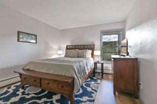 Gold Creek 30W Condo Remodeled On Main St - Breckenridge - 7