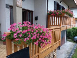 Casa vacanze Emidia - Raveo - 0