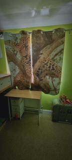 Lovely 5-bed home with free parking and garden - Addington - 2