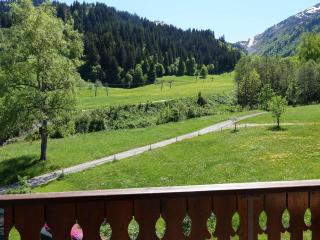 Grand appartement pour 8 personnes, ski au pied, au cœur d'Arêches-Beaufort - FR-1-342-150 - Arêches-Beaufort - 5