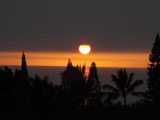 Just Remodeled-Amazing Ocean Views over Lush Golf Course-Country Club Villas 320 - Kailua-Kona - 3
