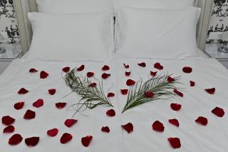 Apartmani Homoljsko Jutro ☆☆☆☆ Apartments Homolje Morning ☆☆☆☆ - 6