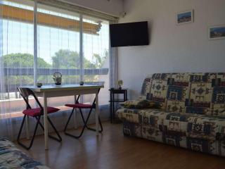Studio cabine 4 pers. avec balcon, piscine, parking, accès direct plage - Grau-du-Roi - FR-1-250-157 - Le Grau-du-Roi - 0