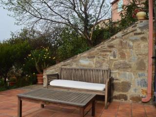 Maison 3 pièces avec jardin, BBQ, animaux admis à Banyuls-sur-Mer - FR-1-225C-74 - Banyuls-sur-Mer - 7