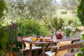 Agroturismo Es Pla De Llodrá - Manacor - 1
