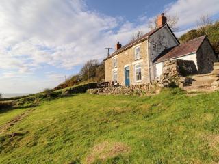 Dolwylan Cottage - Llandysul - 0