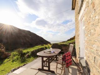 Dolwylan Cottage - Llandysul - 9