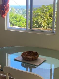 Palm Grove Apartment - Castries - 8