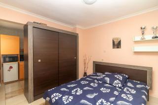 Charming Artistic Central Apartment - Sofia - 1